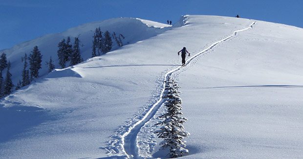 CX skiing